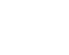 Leaflet Icon